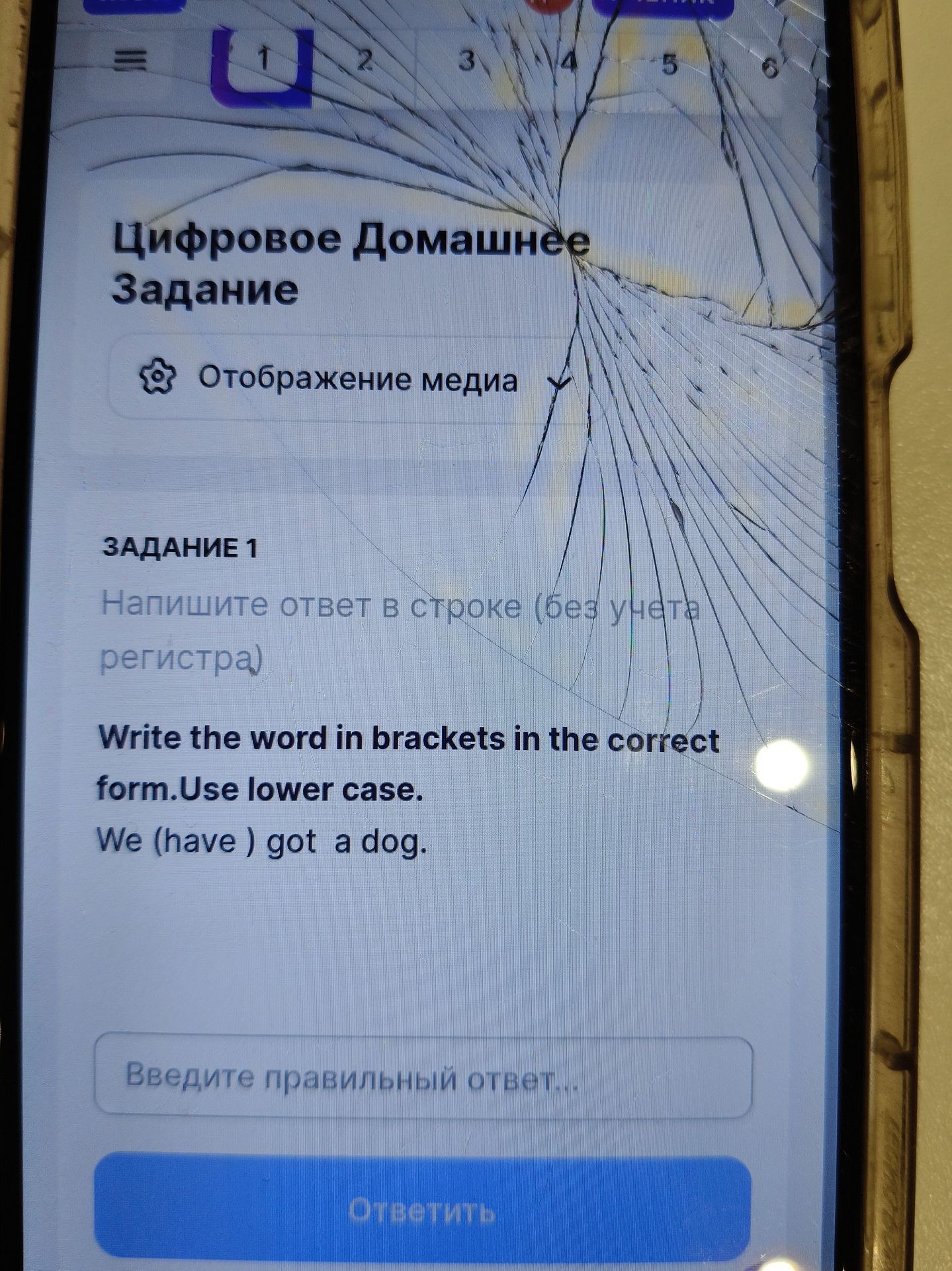 Фото задания: ЗАДАНИЕ 1. Write the word in brackets in the correct form. Use lower case. We (have) got a dog.