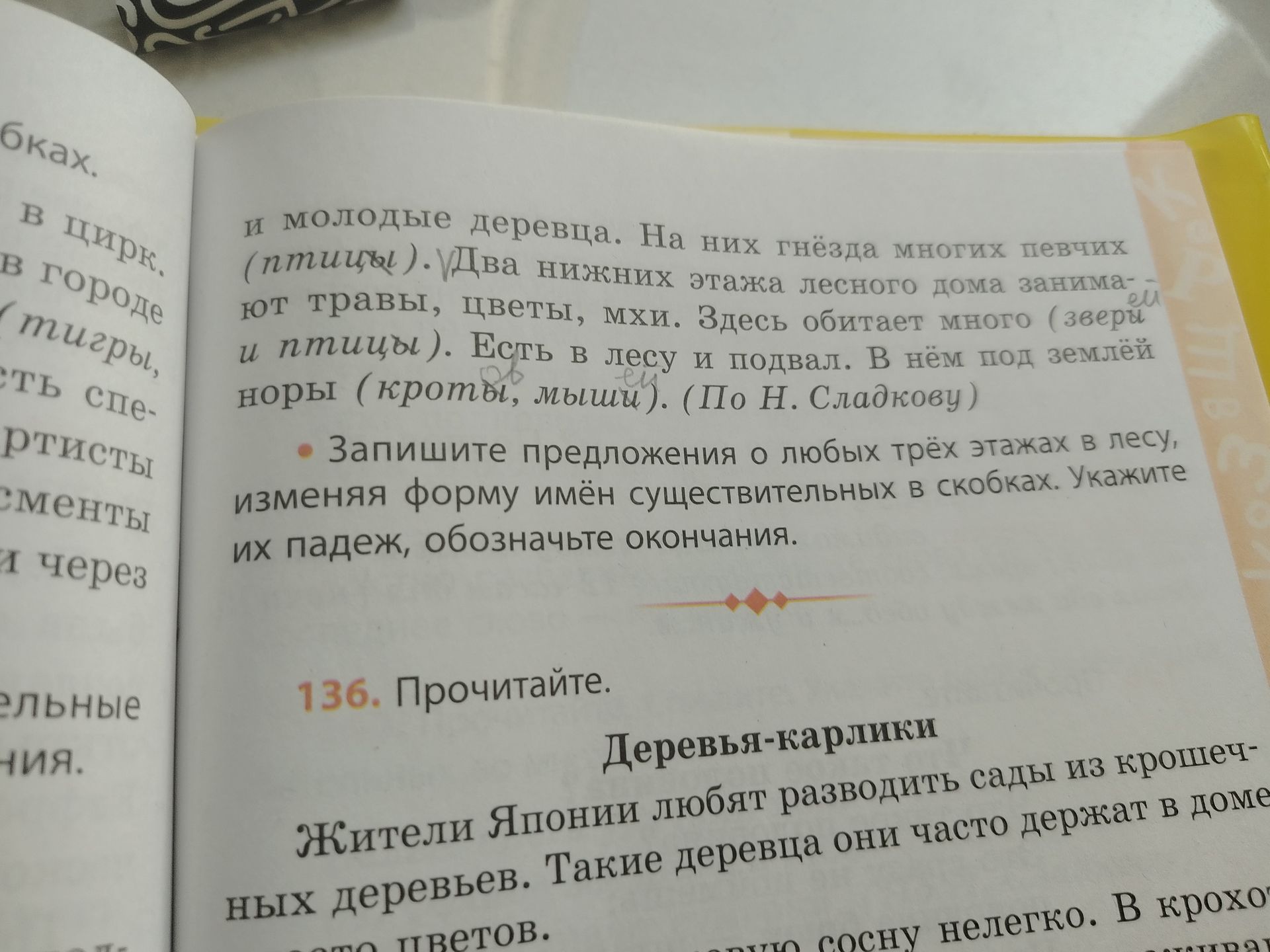 Фото задания: 136. Прочитайте. «Деревья-карлики»