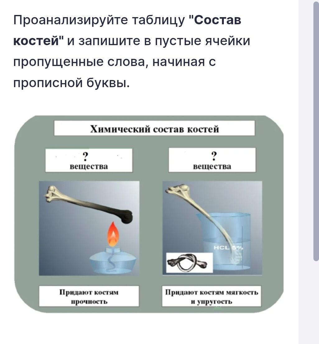 Фото задания: Проанализируйте таблицу «Состав костей» и запишите в пустые ячейки пропущенные слова, начиная с прописной буквы.