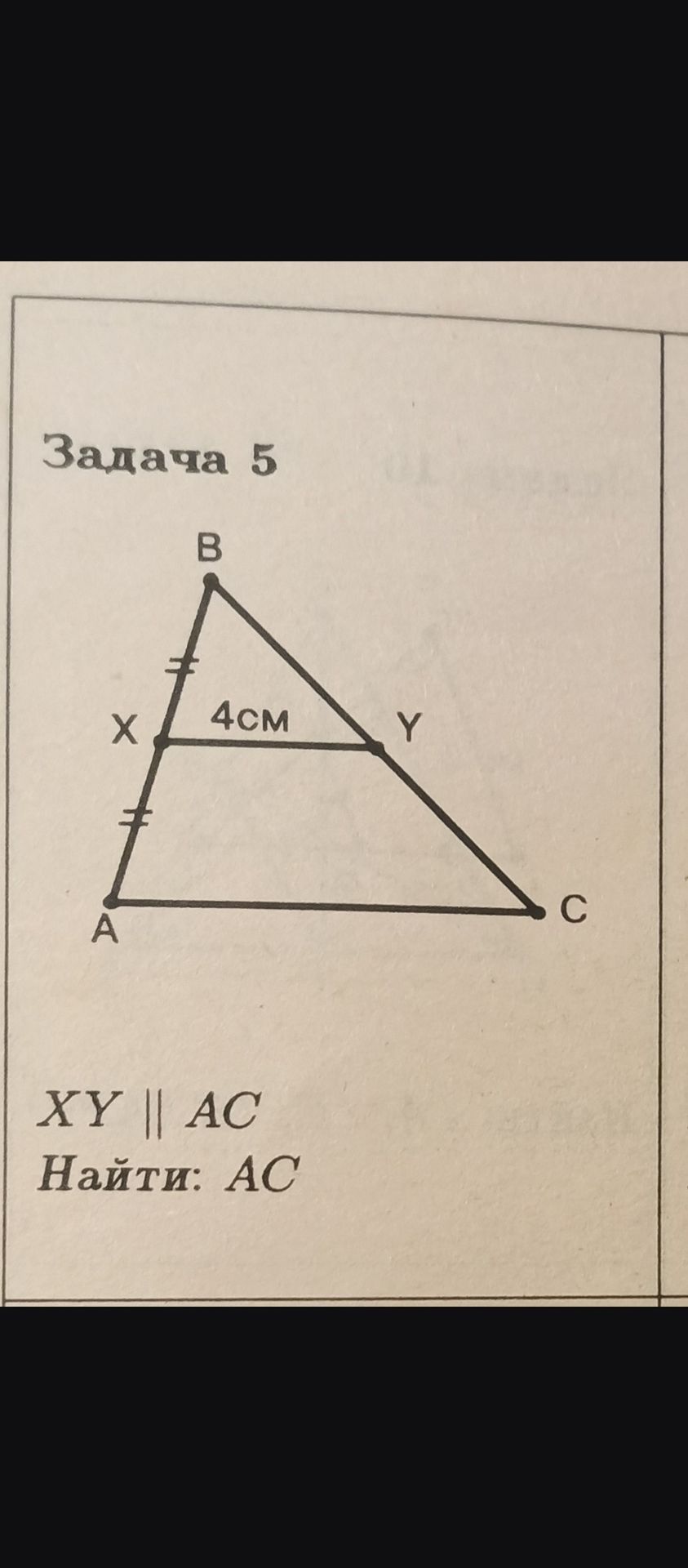 Фото задания: Задача 5. В треугольнике ABC точка X — середина AB (AX = XB), XY ∥ AC, XY = 4 см. Найти: AC.