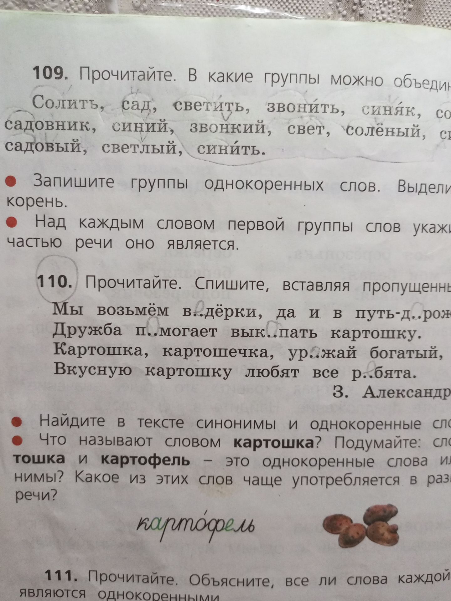Фото задания: 109. Прочитайте. В какие группы можно объединить слова: солить, сад, светить, звонить, синяк, со…; садовник, синий,…