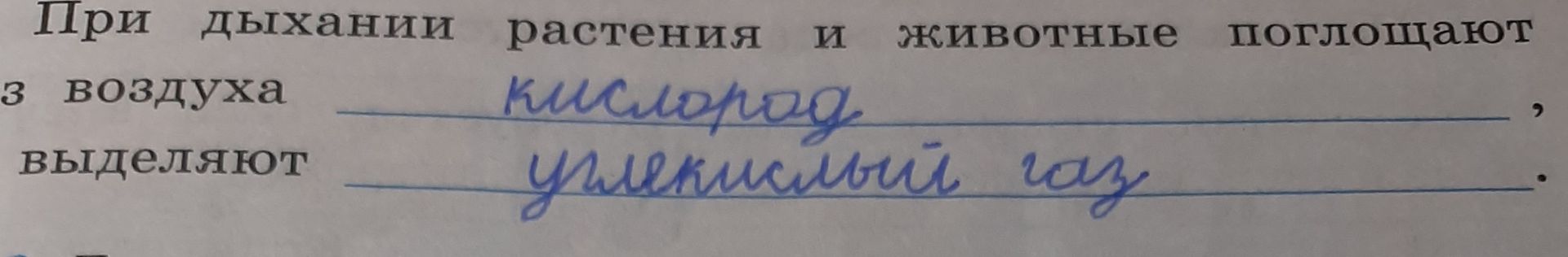 Фото задания: При дыхании растения и животные поглощают ___ из воздуха, выделяют ___.