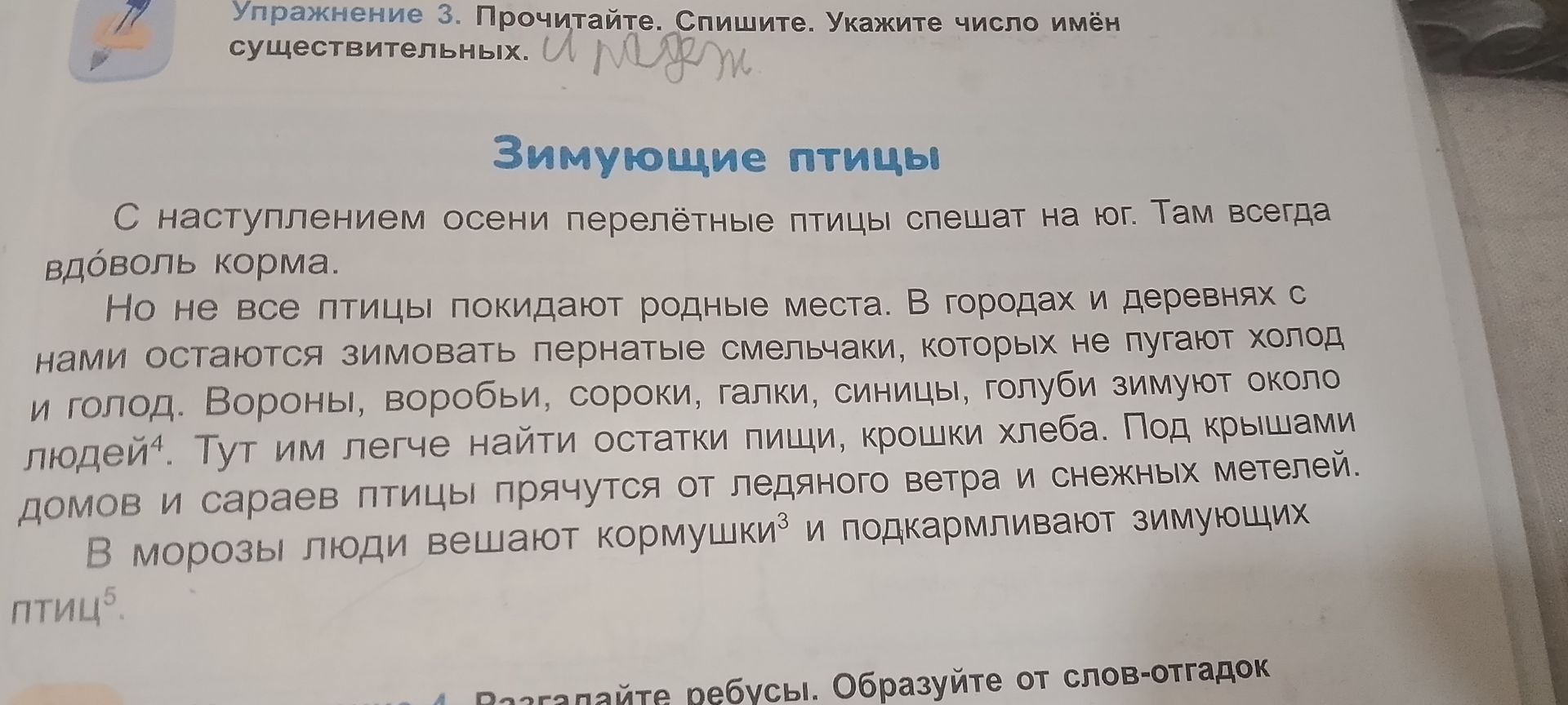 Фото задания: Упражнение 3. Прочитайте. Спишите. Укажите число имён существительных. «Зимующие птицы. С наступлением осени перелётные птицы…