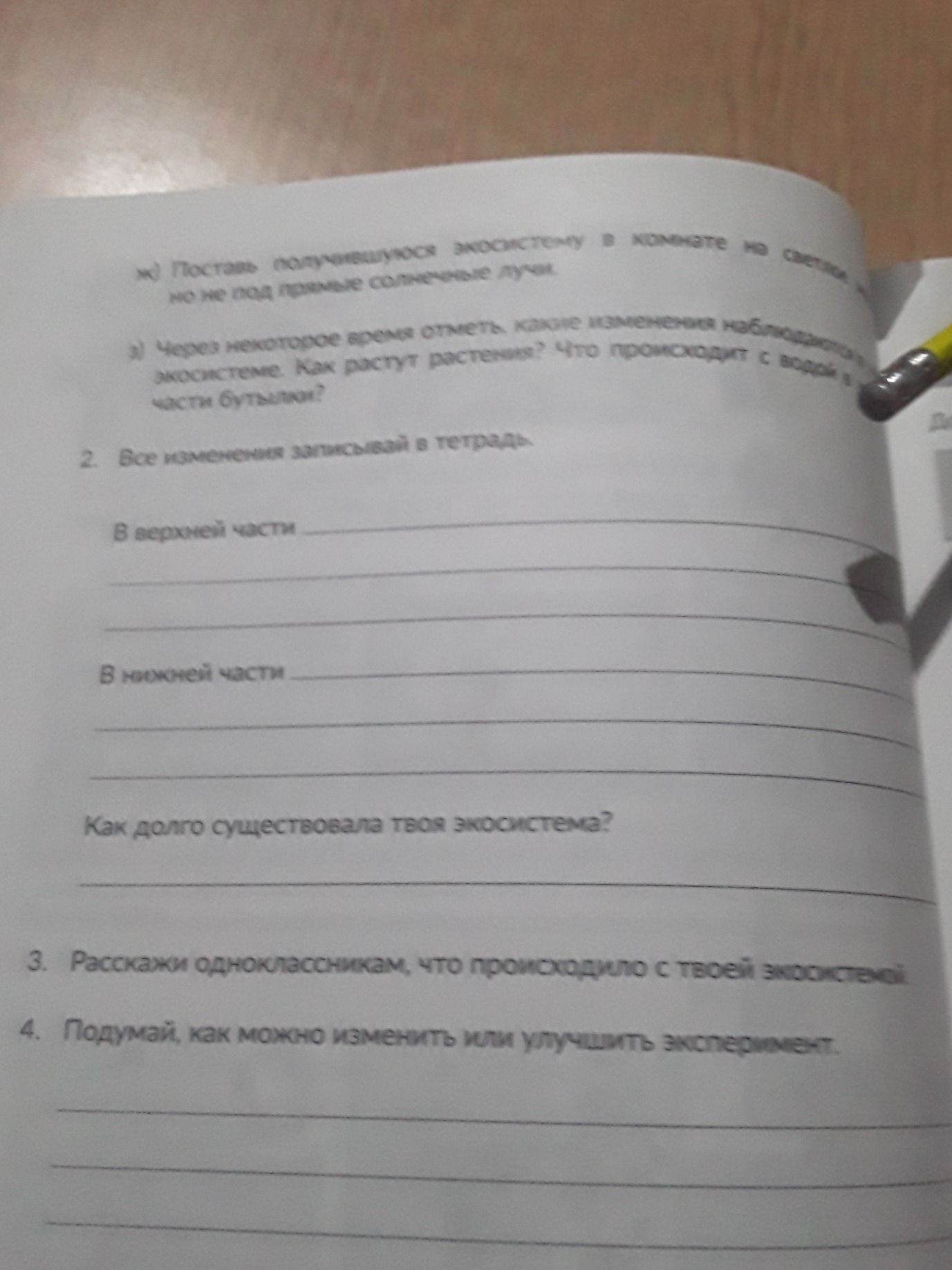 Фото задания: ж) Поставь получившуюся экосистему в комнате на светлое, но не под прямые солнечные лучи. з) Через некоторое время отметь,…