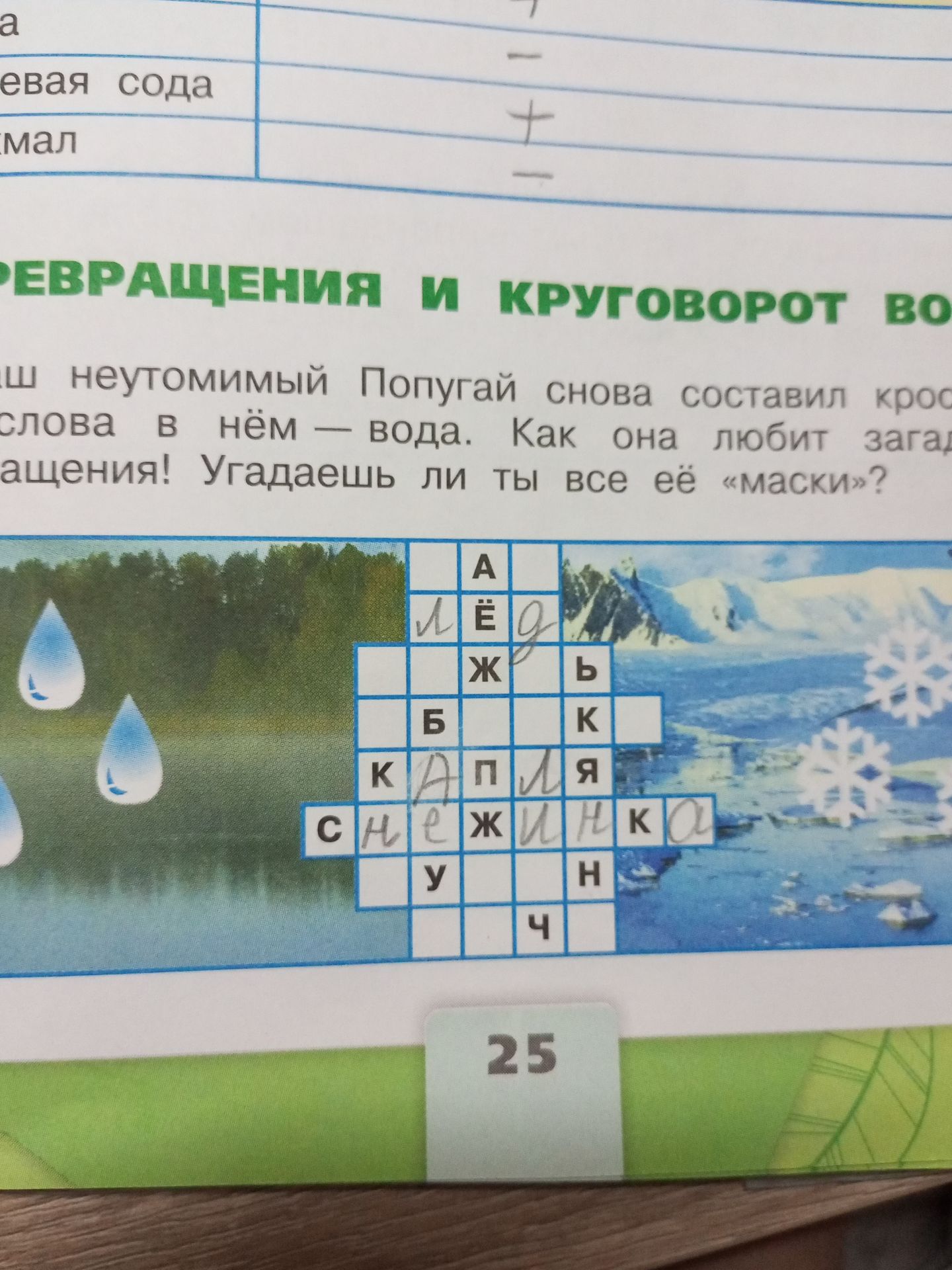 Фото задания: Разгадай кроссворд: Попугай снова составил кроссворд из слов о воде. Угадай все её «маски».