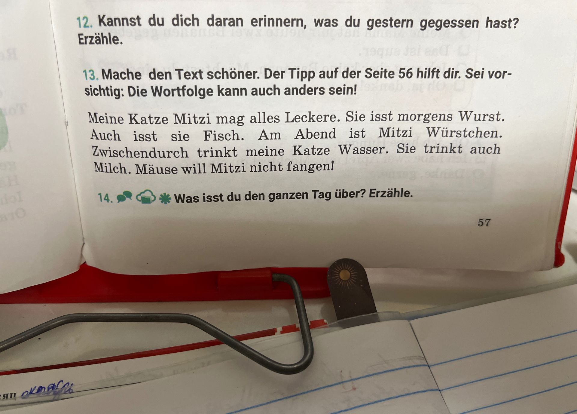 Фото задания: 13. Mache den Text schöner. Der Tipp auf der Seite 56 hilft dir. Sei vorsichtig: Die Wortfolge kann auch anders sein! Meine…