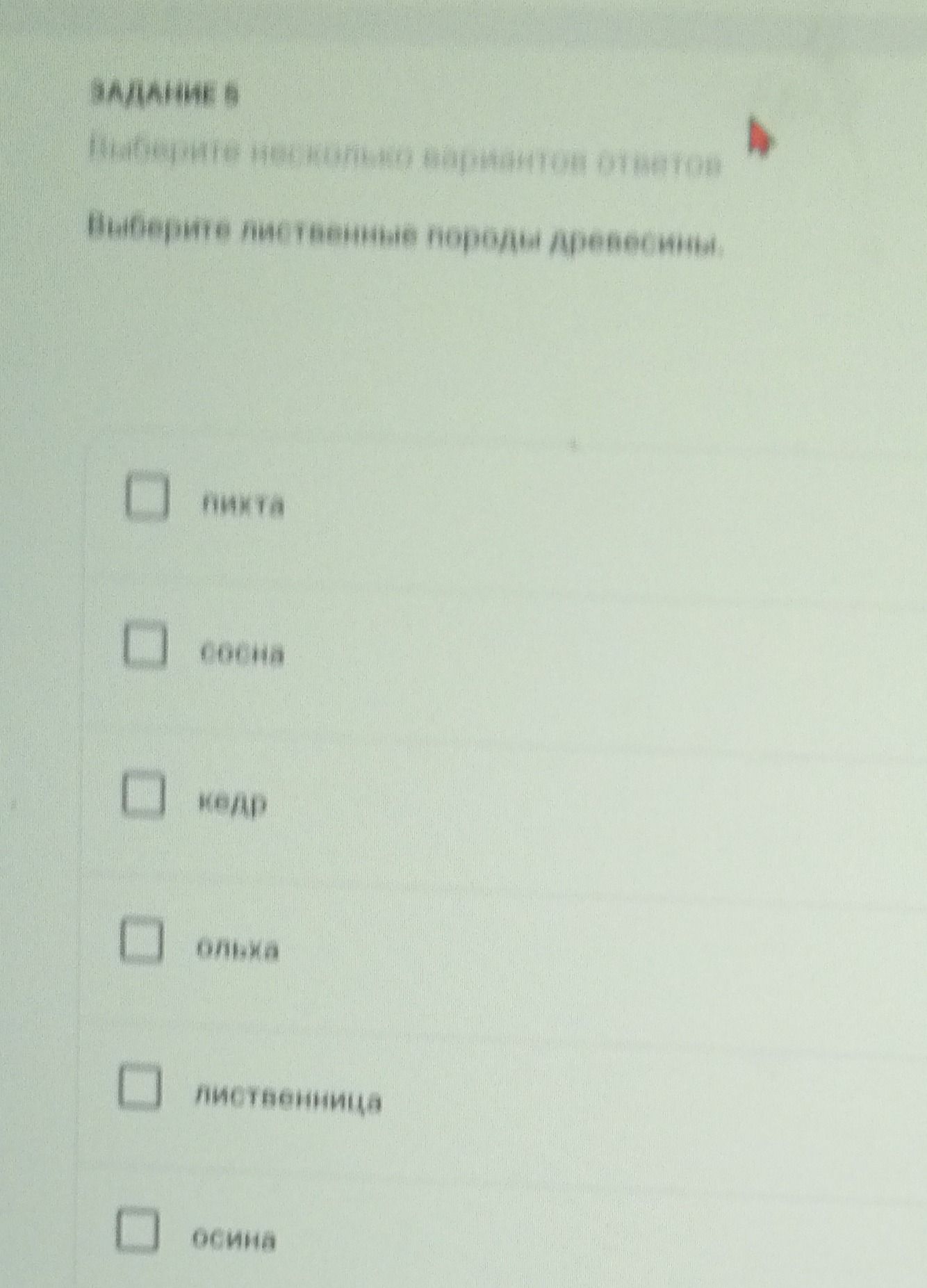 Фото задания: Задание 5. Отметьте хвойные деревья: пихта, финик, кедр, пальма, лиственница, осина.