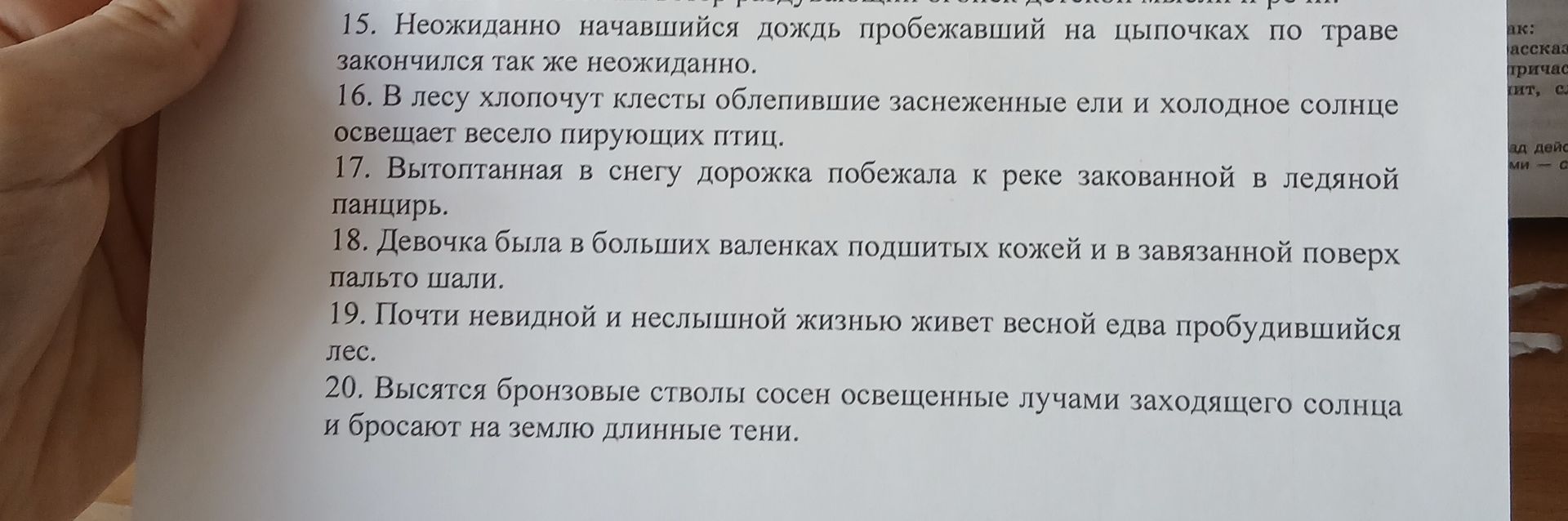 Фото задания: 20. Высится бронзовые стволы сосен освещенные лучами заходящего солнца и бросают на землю длинные тени.