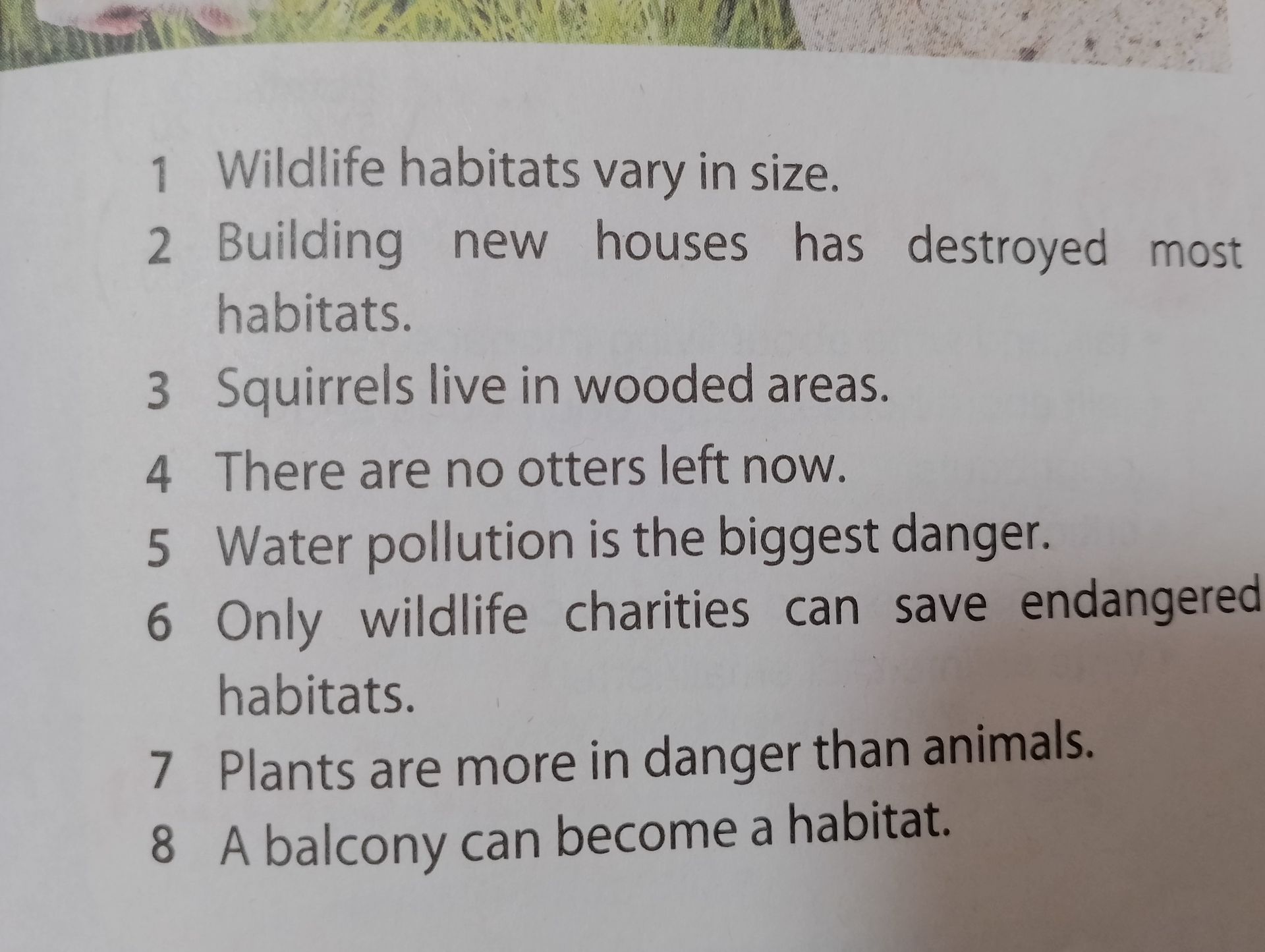 Фото задания: 3. Squirrels live in wooded areas.