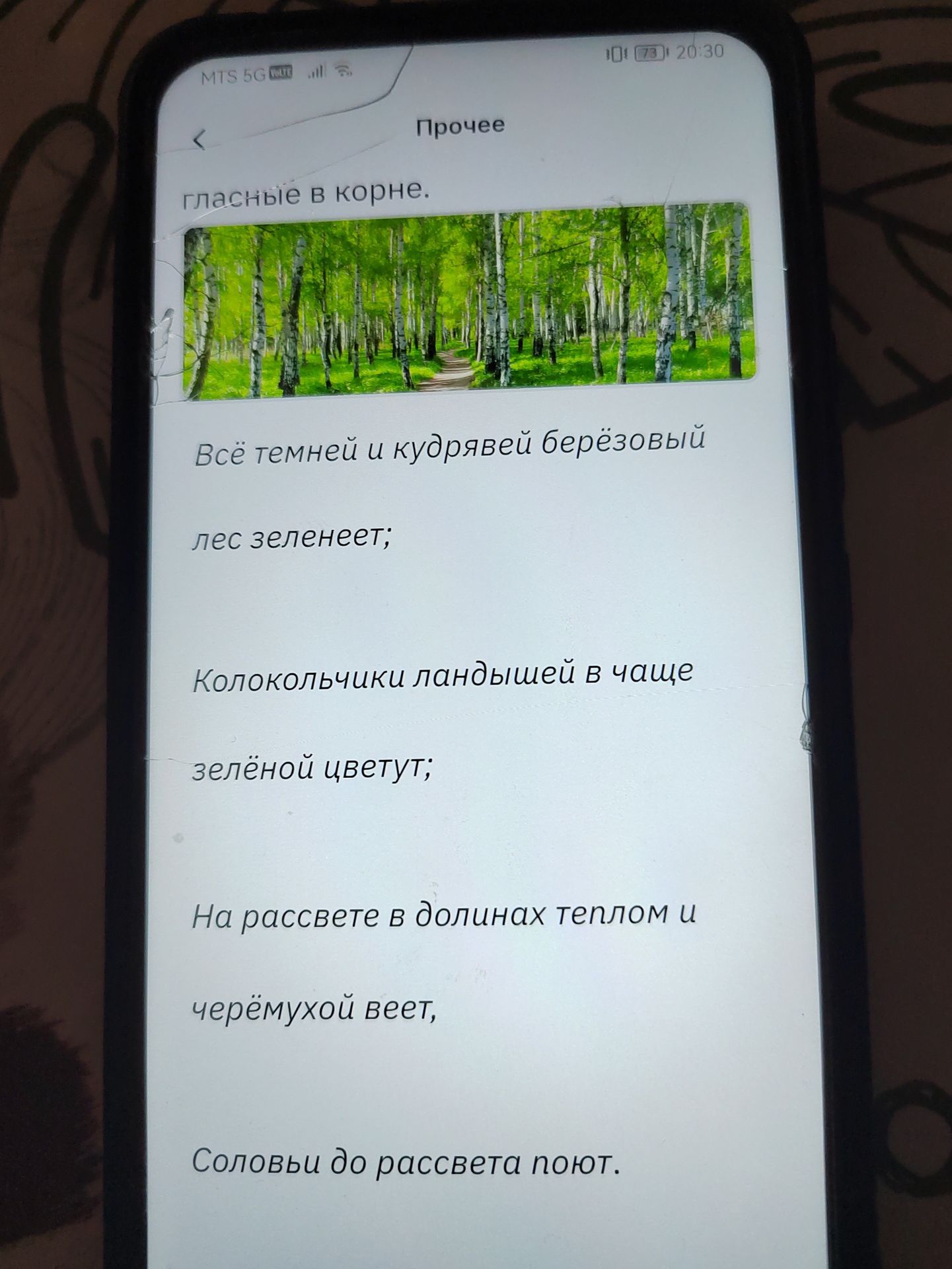 Фото задания: Фрагмент задания: «…гласные в корне». Всё темней и кудрявей берёзовый лес зеленеет; Колокольчики ландышей в чаще зелёной…