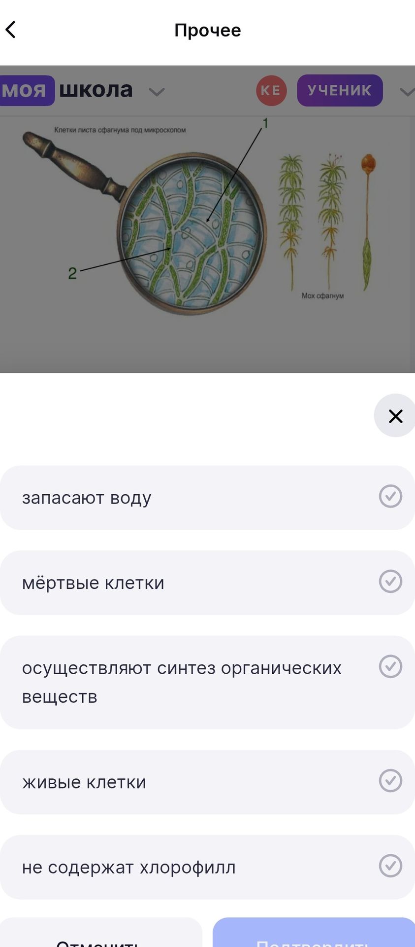 Фото задания: По рисунку «Клетки листа сфагнума под микроскопом» определите признаки клеток, обозначенных цифрами 1 и 2. Варианты: запасают…