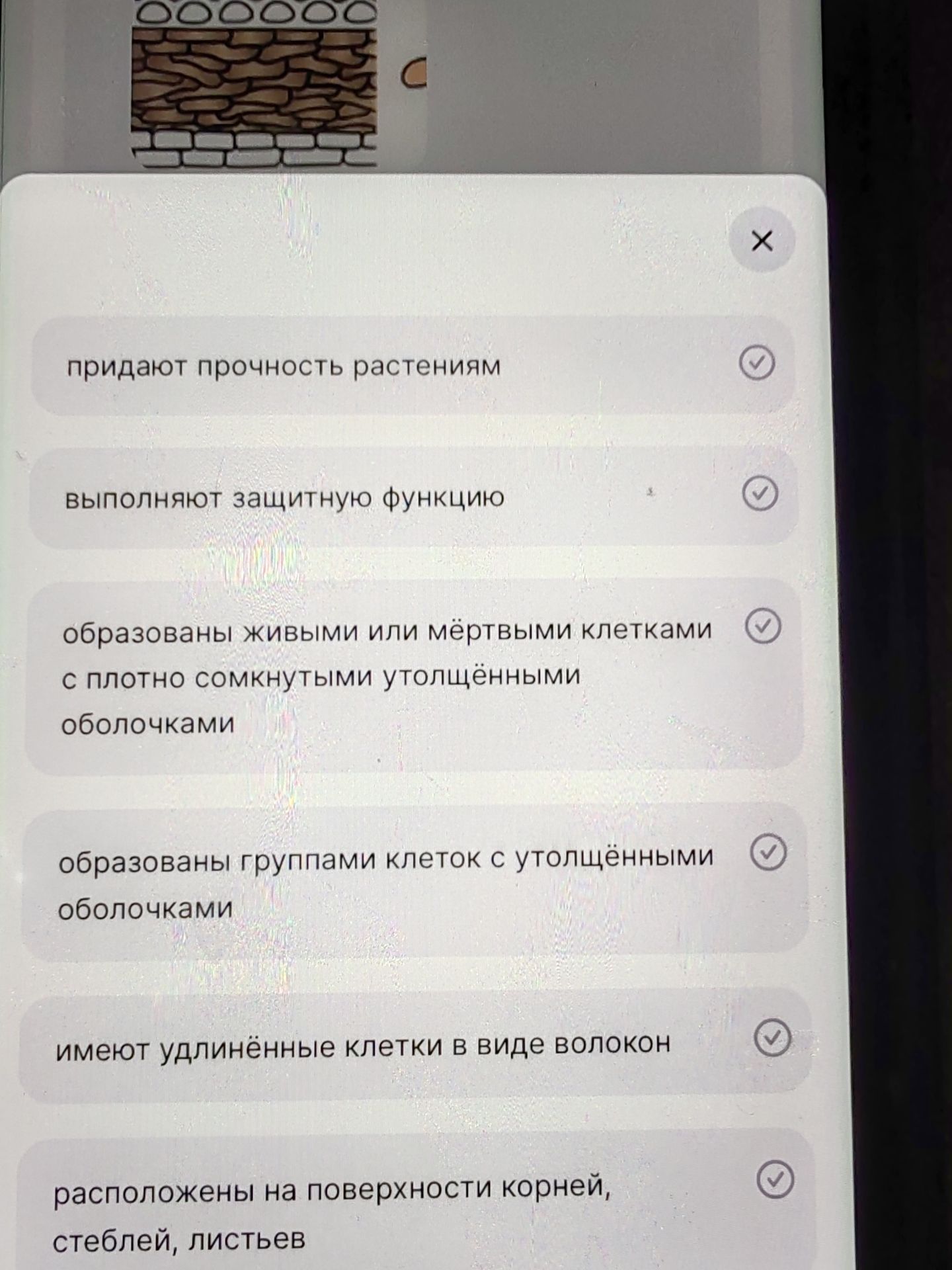 Фото задания: [Начало задания обрезано.] На изображении видны варианты: «придают прочность растениям»; «выполняют защитную функцию»;…