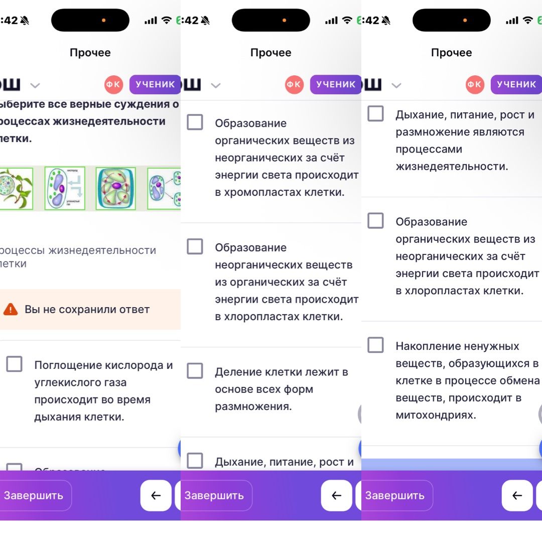 Фото задания: Выберите все верные суждения о процессах жизнедеятельности клетки: 1) Поглощение кислорода и углекислого газа происходит во…