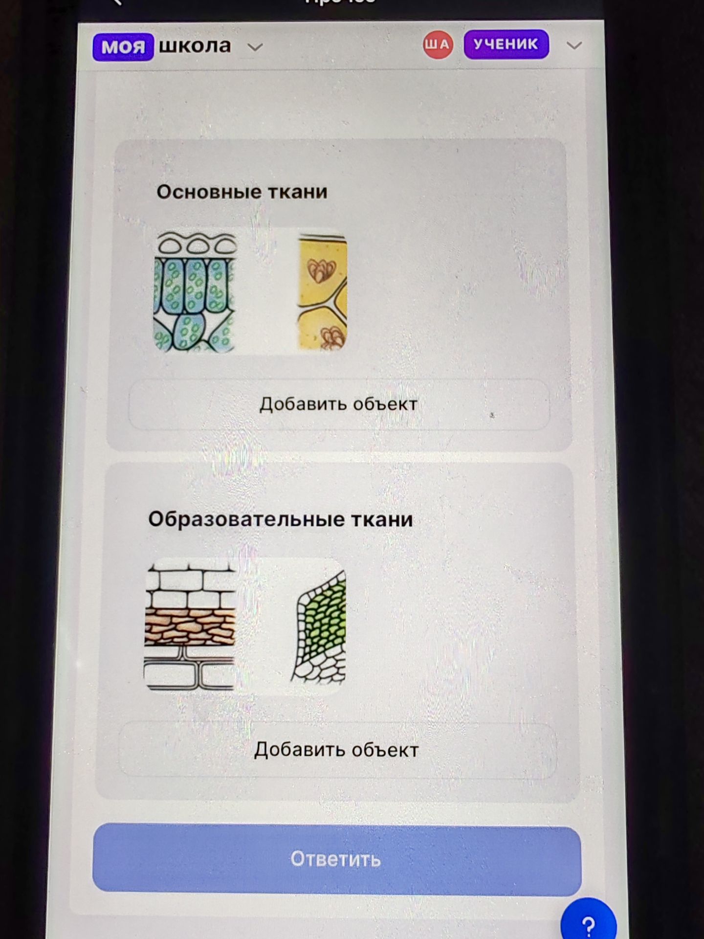 Фото задания: Распределить изображения по группам «Основные ткани» и «Образовательные ткани».
