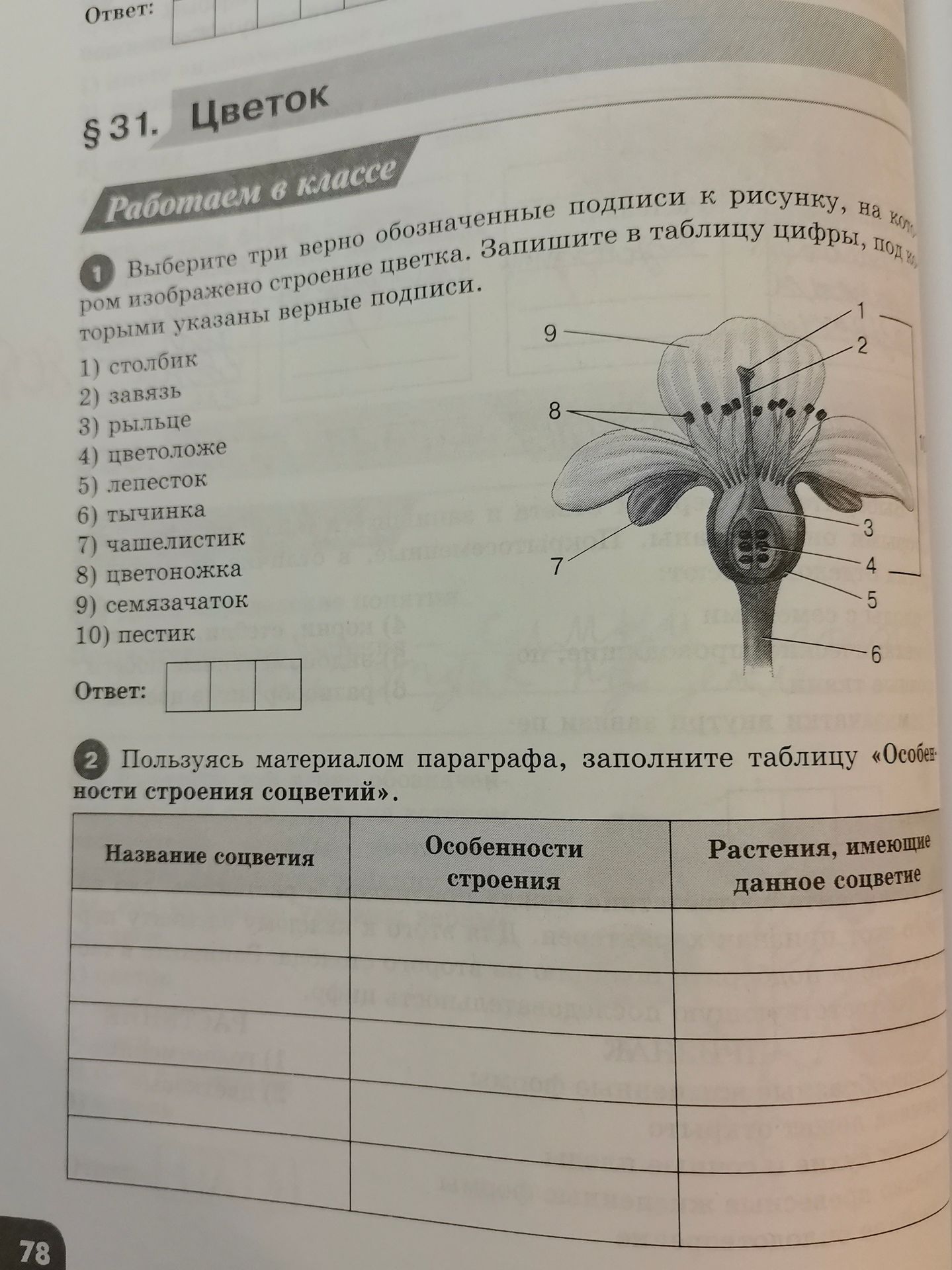 Фото задания: Выберите три верно обозначенные подписи к рисунку, на котором изображено строение цветка. Запишите в таблицу цифры,…