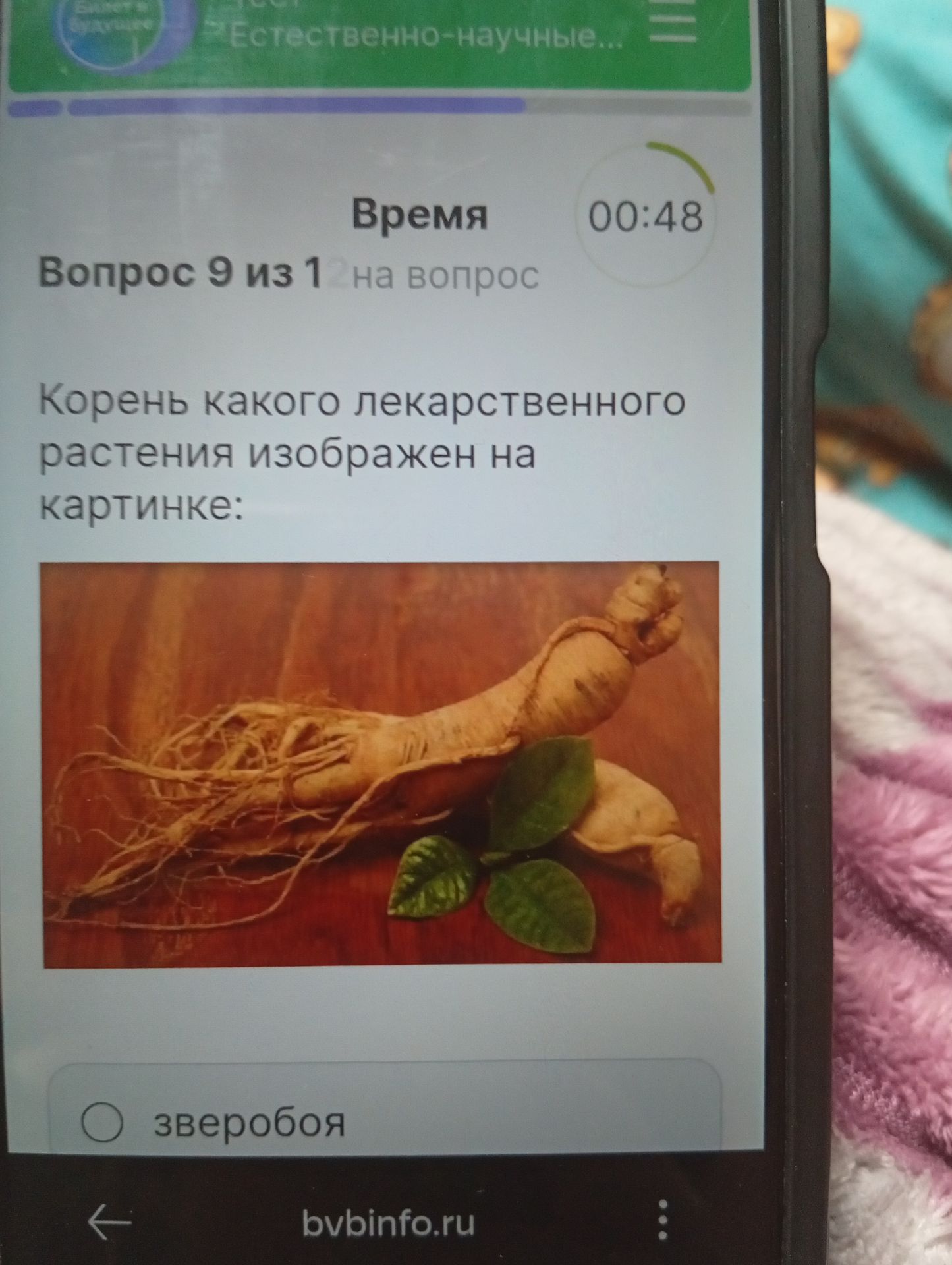 Фото задания: Корень какого лекарственного растения изображён на картинке?