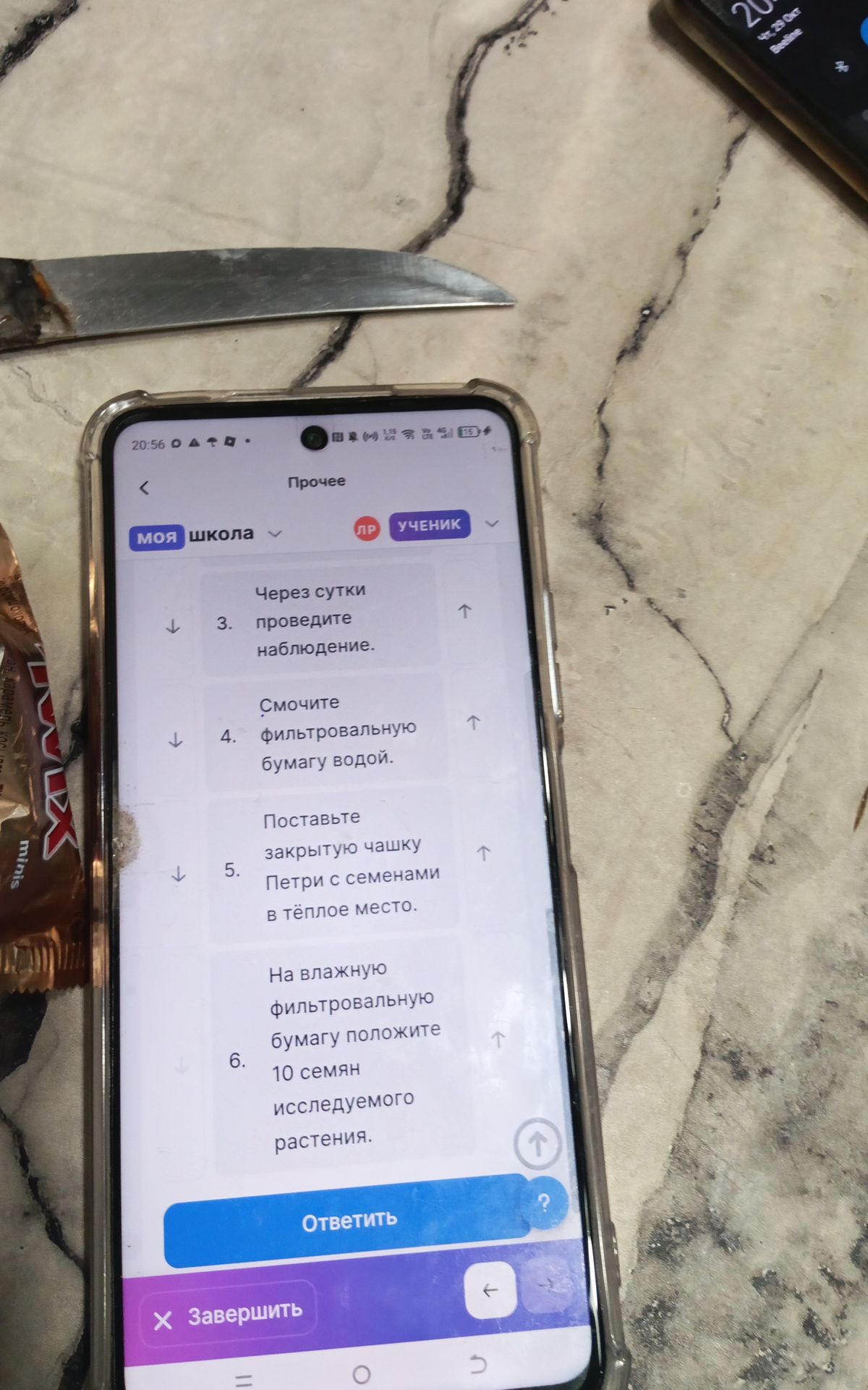 Фото задания: На изображении видны шаги опыта: «Через сутки проведите наблюдение»; «Смочите фильтровальную бумагу водой»; «Поставьте…