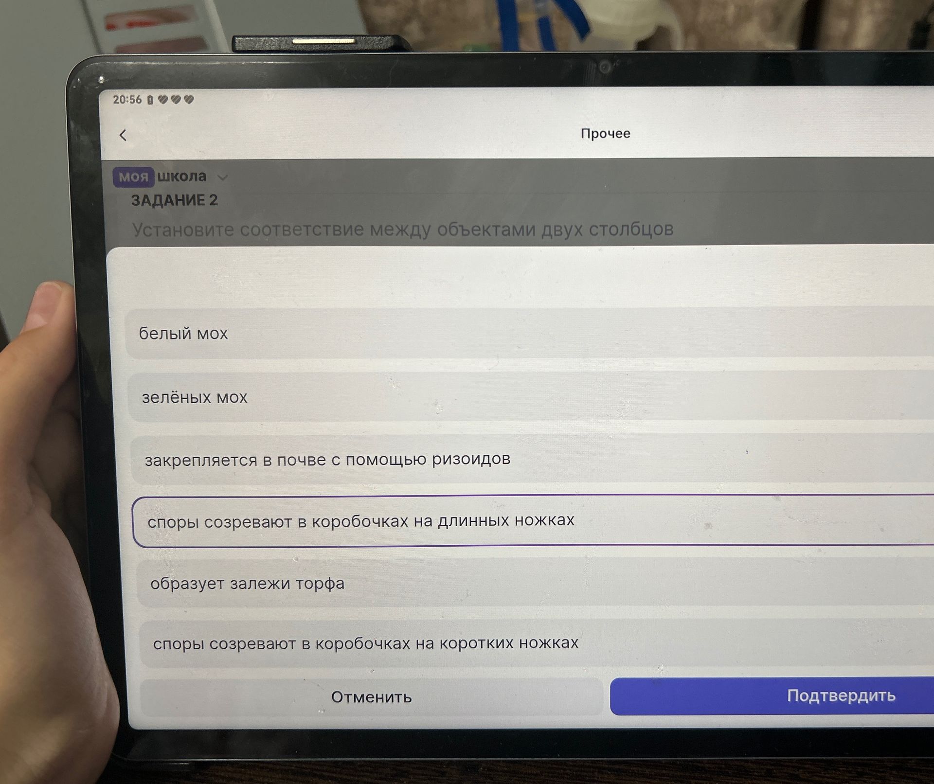 Фото задания: Задание 2. Установите соответствие между объектами двух столбцов. Видимые объекты: белый мох; зелёный мох; закрепляется в…