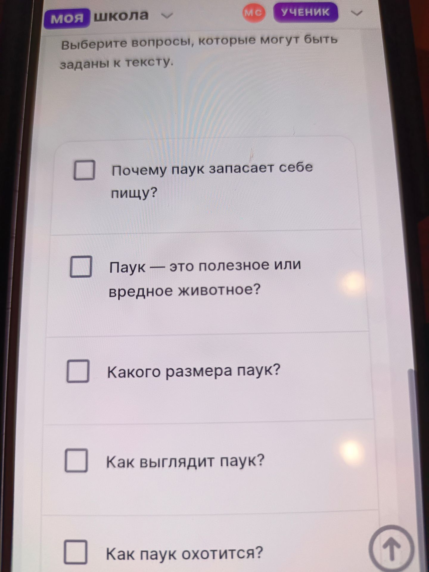 Фото задания: Выберите вопросы, которые могут быть заданы к тексту: «Почему паук запасает себе пищу?», «Паук — это полезное или вредное…