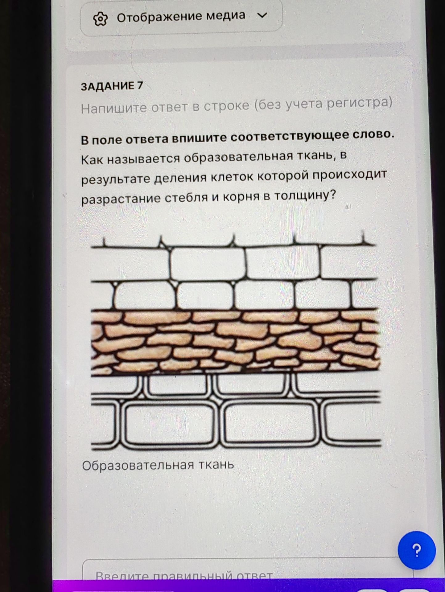 Фото задания: Задание 7. Как называется образовательная ткань, в результате деления клеток которой происходит разрастание стебля и корня…