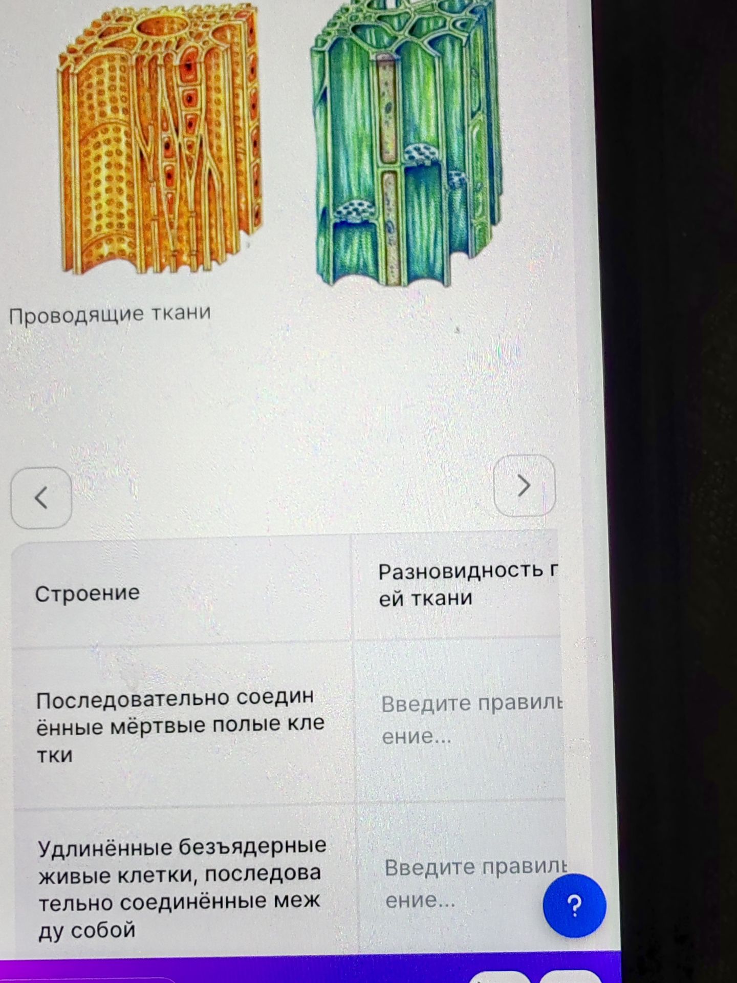 Фото задания: Проводящие ткани. Заполните таблицу: укажите разновидность проводящей ткани для каждого описания строения: 1) последовательно…