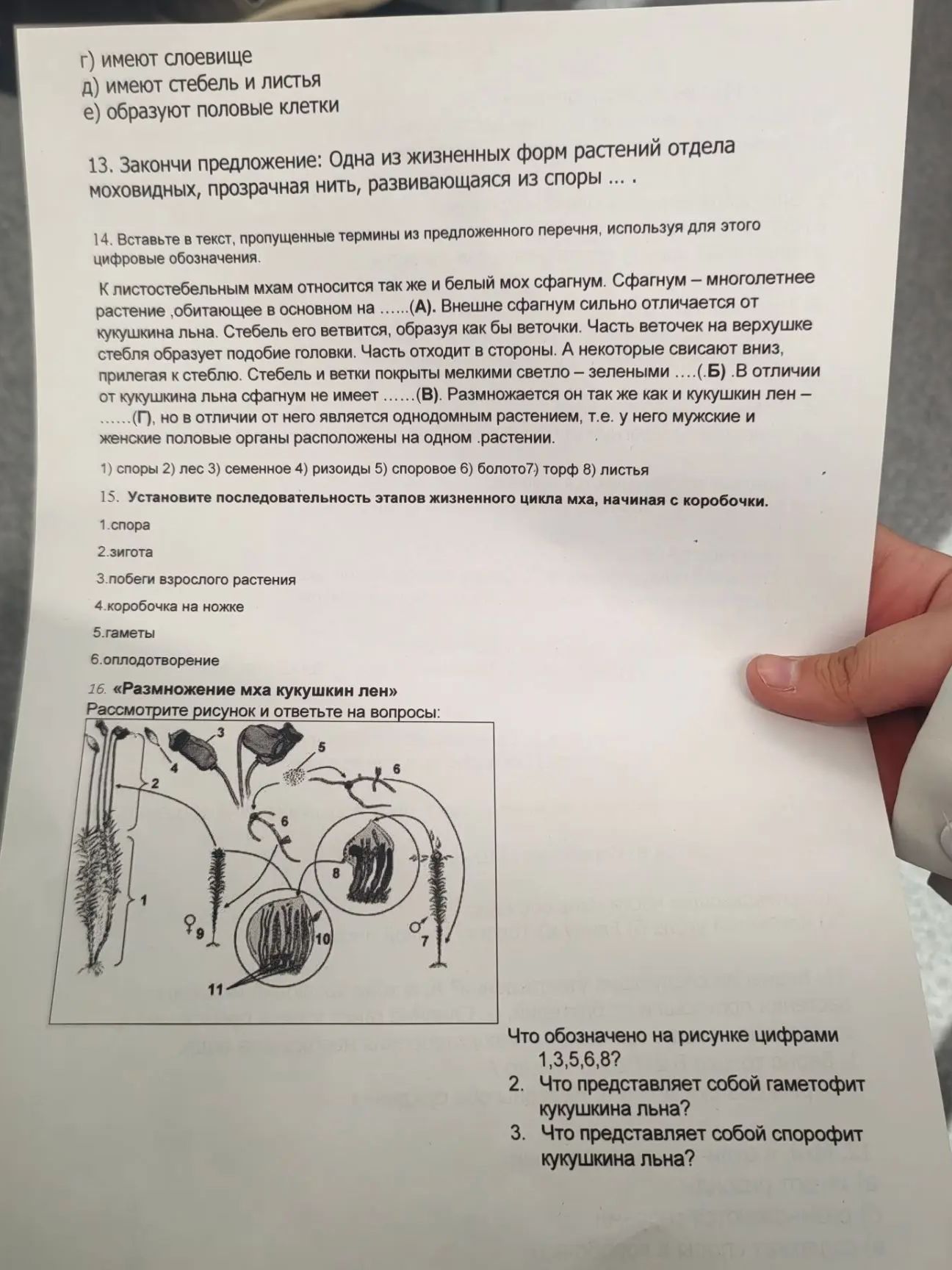 Фото задания: 14. Вставьте в текст пропущенные термины из предложенного перечня, используя для этого цифровые обозначения. К…