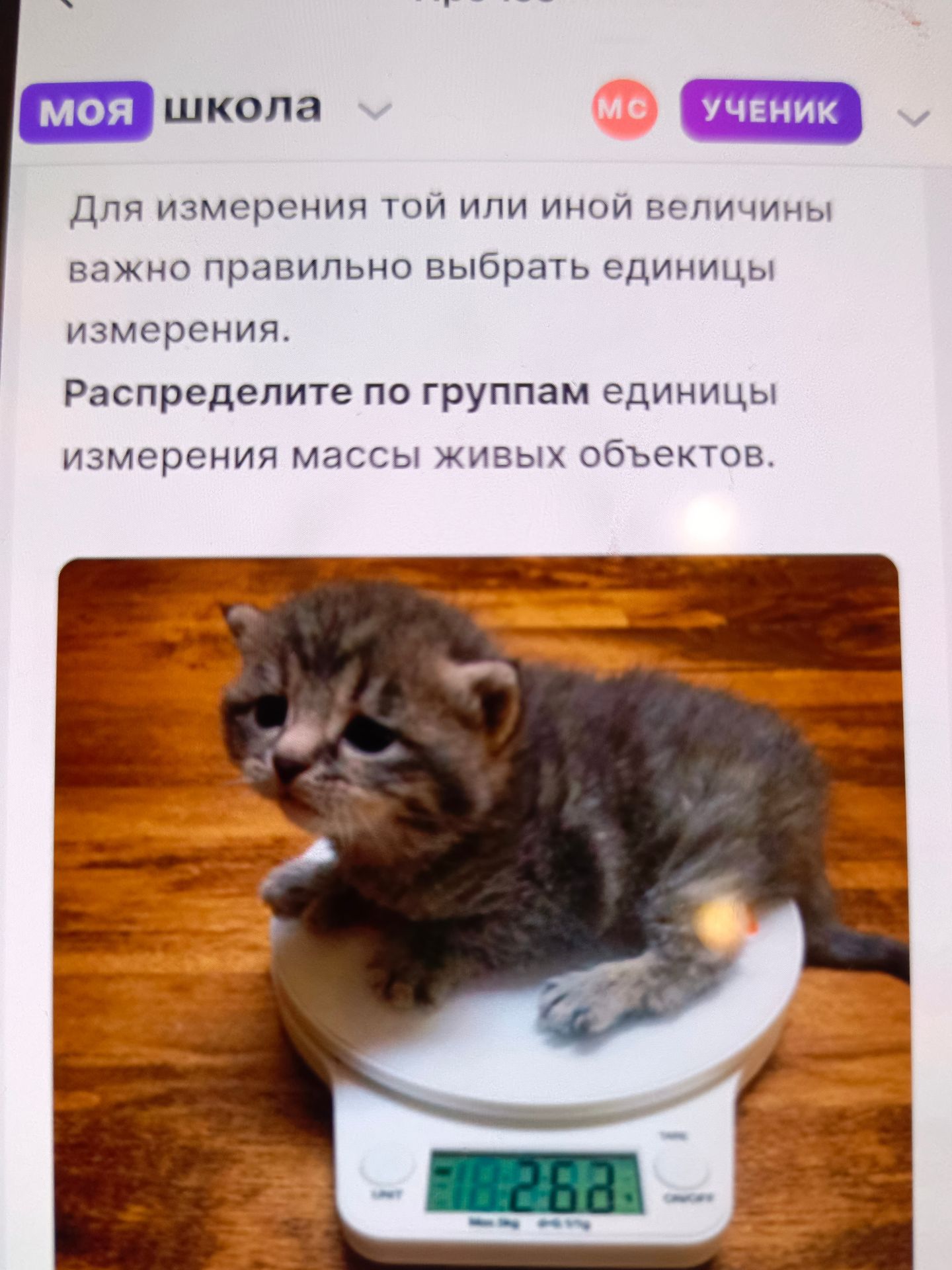 Фото задания: Распределите по группам единицы измерения массы живых объектов.