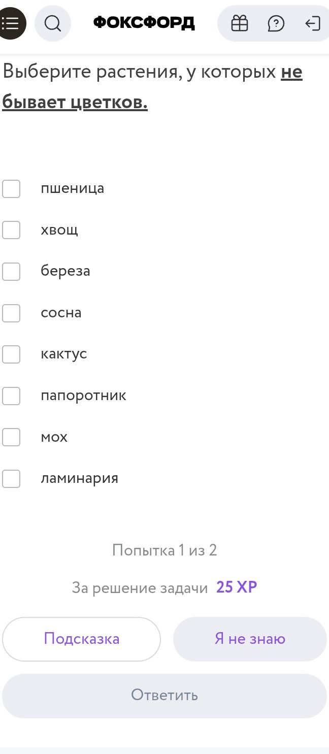 Фото задания: Выберите растения, у которых не бывает цветков: пшеница, хвощ, берёза, сосна, кактус, папоротник, мох, ламинария.