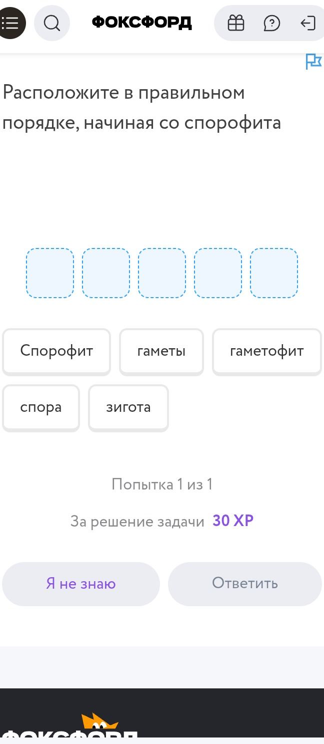 Фото задания: Расположите в правильном порядке, начиная со спорофита: спорофит, гаметы, гаметофит, спора, зигота.