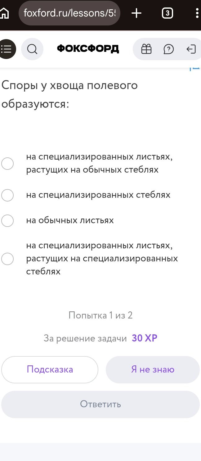 Фото задания: Споры у хвоща полевого образуются: а) на специализированных листьях, растущих на обычных стеблях; б) на специализированных…