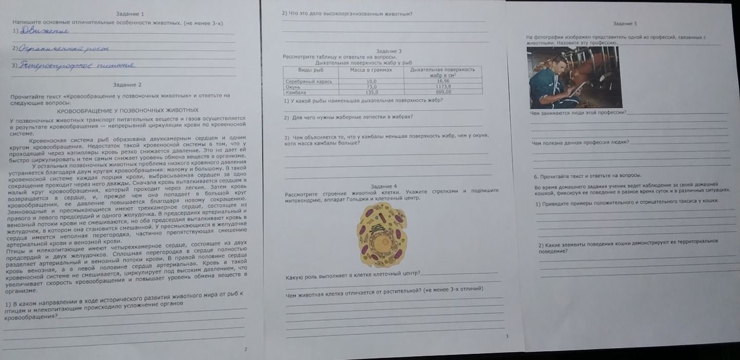 Фото задания: Задание 3. Рассмотрите таблицу и ответьте на вопросы. Дыхательная поверхность жабр у рыб: серебряный карась — масса 10,0 г,…