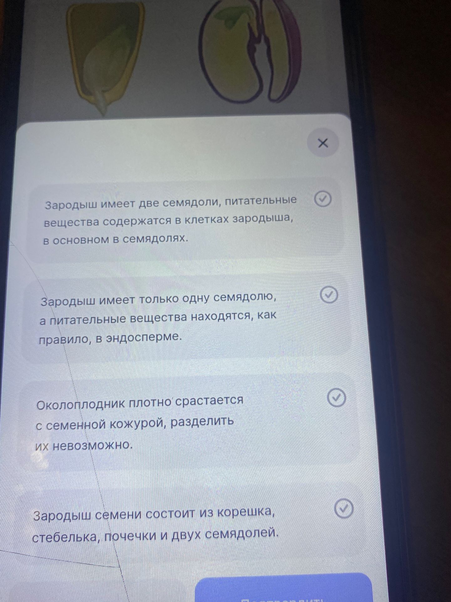 Фото задания: На изображении приведены утверждения о строении семян: «Зародыш имеет две семядоли, питательные вещества содержатся в клетках…