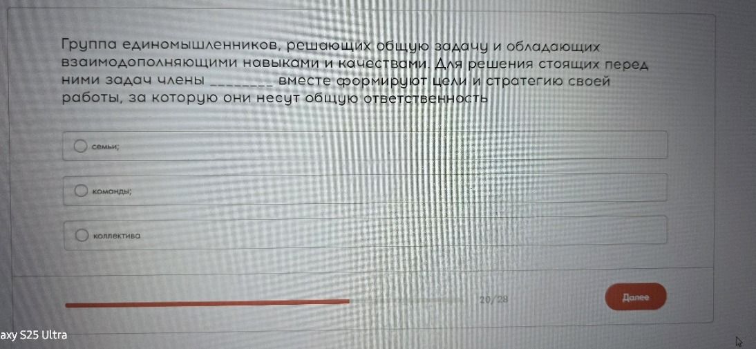 Фото задания: Группа единомышленников, решающих общую задачу и обладающих взаимодополняющими навыками и качествами. Для решения стоящих…
